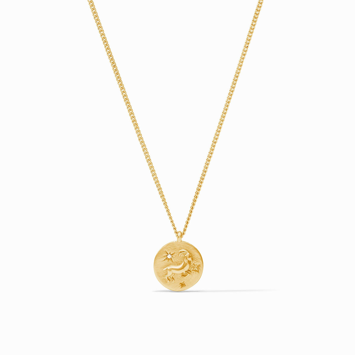 Zodiac Delicate Necklace - Capricorn